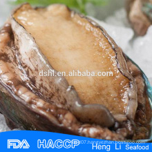 Frozen cooked frozen abalone meat for sale